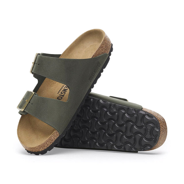 Arizona Leoi Thyme 1028030