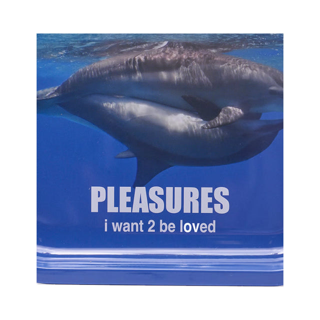 DOLPHINS METAL TRAY