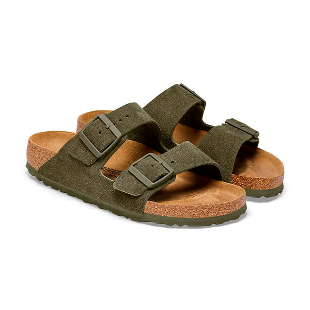 Arizona LEVE Thyme 1025657