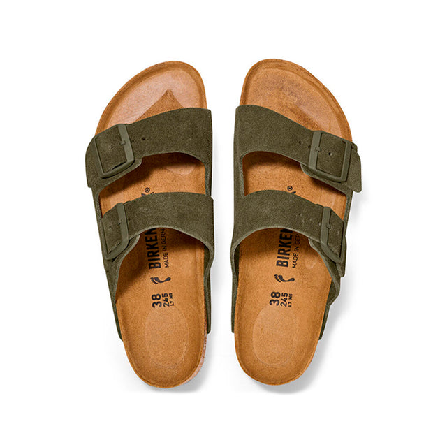 Arizona LEVE Thyme 1025657