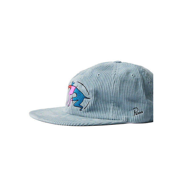THE ZOOMIES 6 PANEL HAT