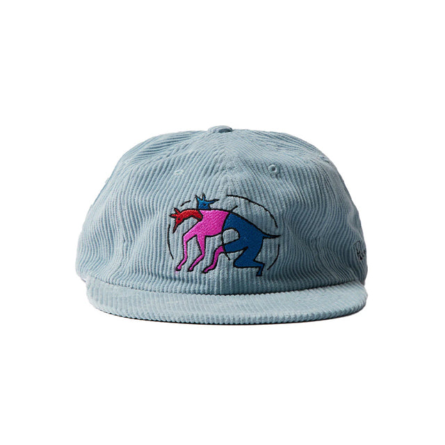 THE ZOOMIES 6 PANEL HAT